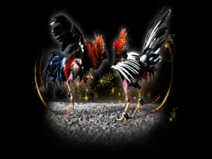 Bật Mí Cách Chơi Đá Gà Sabong Tại 138Bet Thắng Lớn Mỗi Ngày