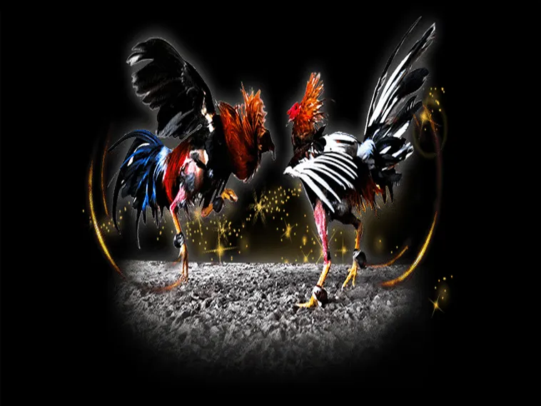 Bật Mí Cách Chơi Đá Gà Sabong Tại 138Bet Thắng Lớn Mỗi Ngày 1 Bật Mí Cách Chơi Đá Gà Sabong Tại 138Bet Thắng Lớn Mỗi Ngày